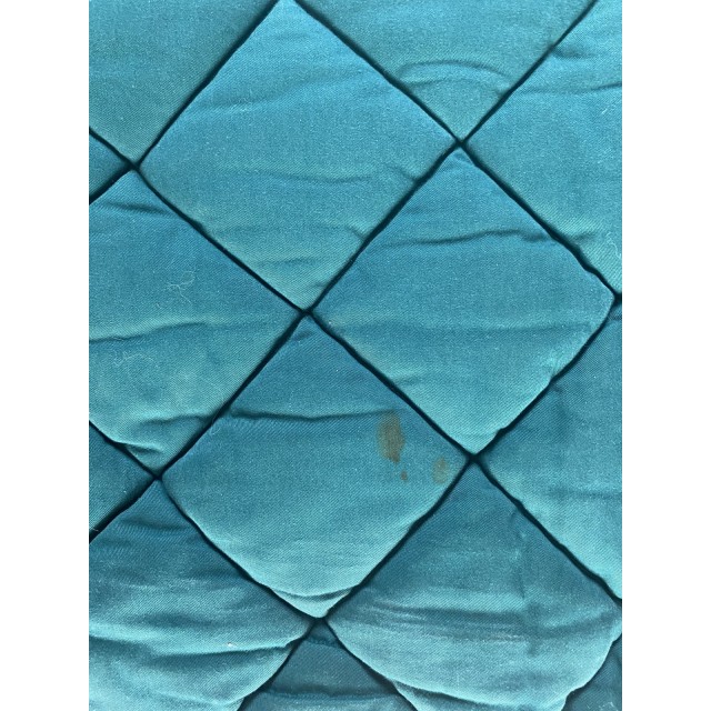 Tapis cso cheval vert