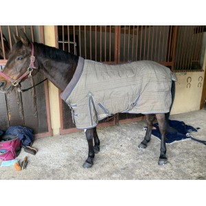 Couverture Waldhausen