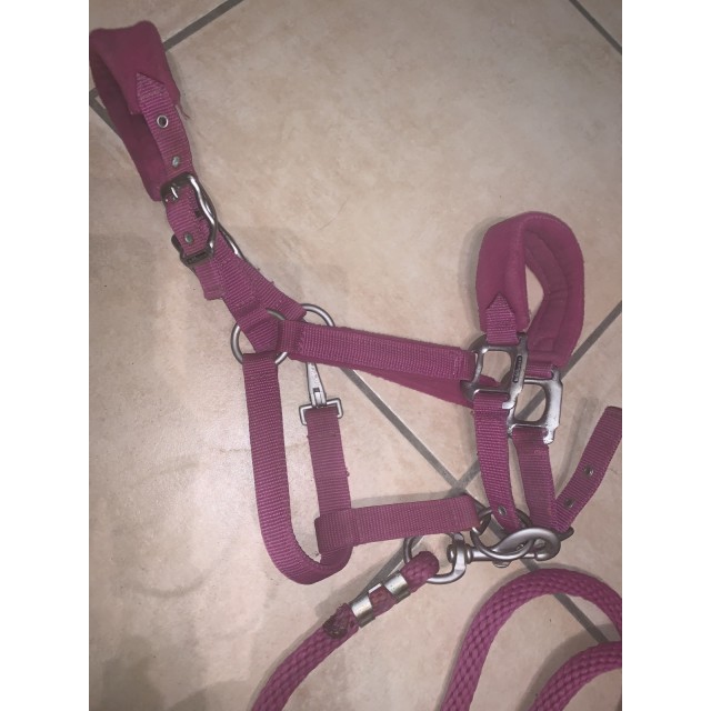 Licol waldhausen rose