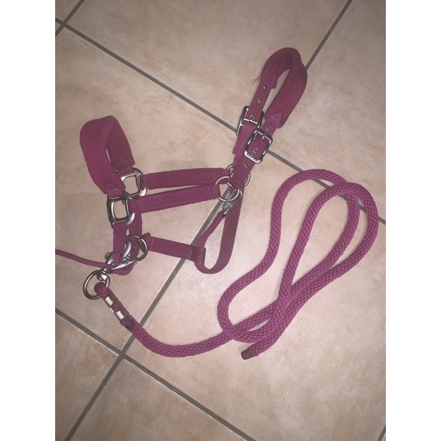 Licol waldhausen rose