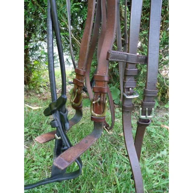 Idéal club - Lot de 3 paires de rênes