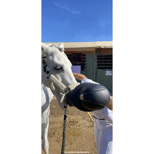 Miss shield à vendre