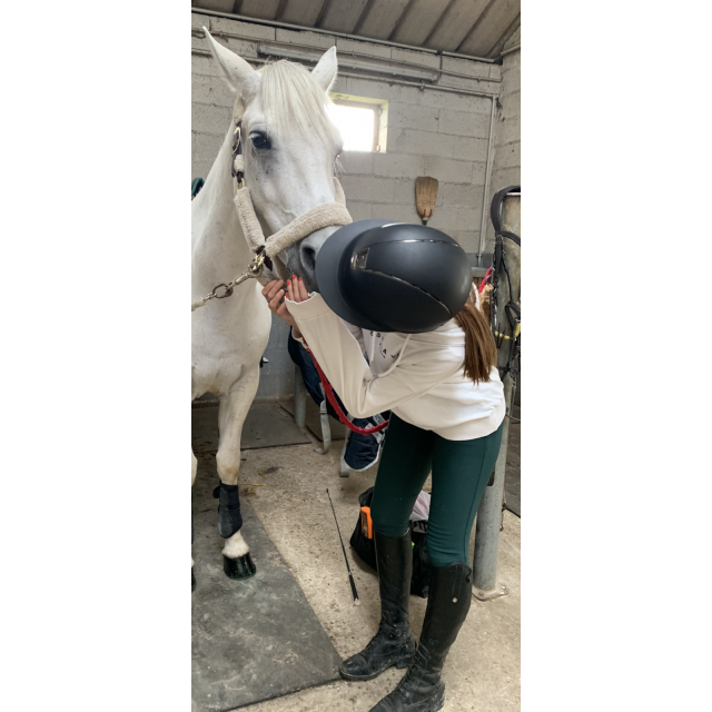 Miss shield à vendre