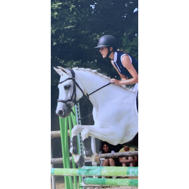 Miss shield à vendre