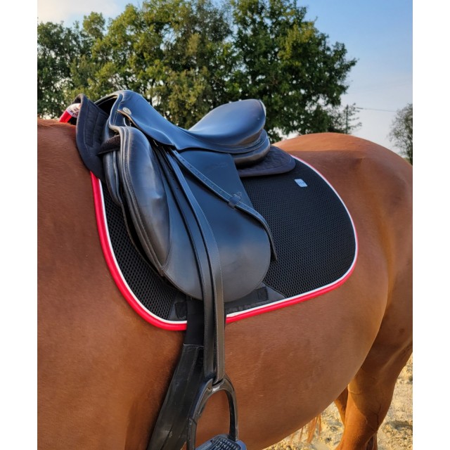Selle prestige 17"