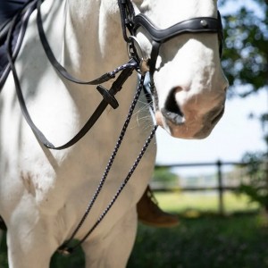 Rênes allemandes Précision ANTARES