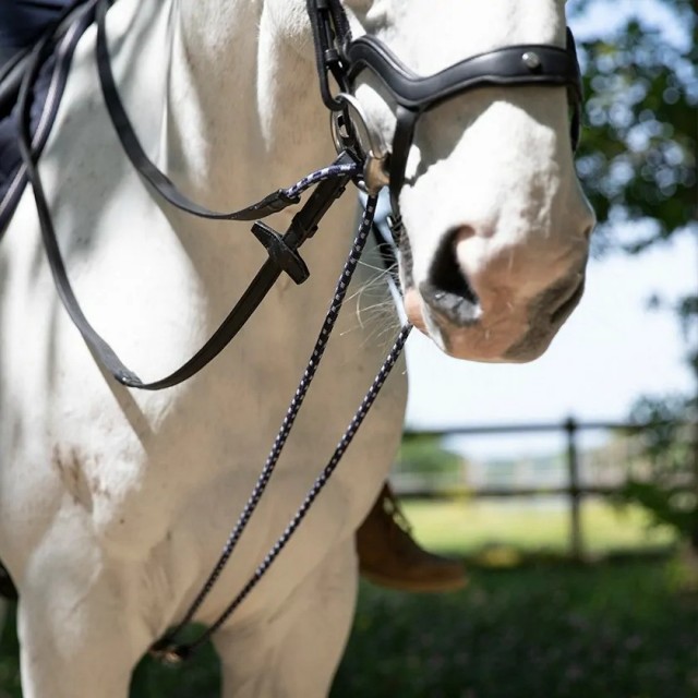 Rênes allemandes Précision ANTARES