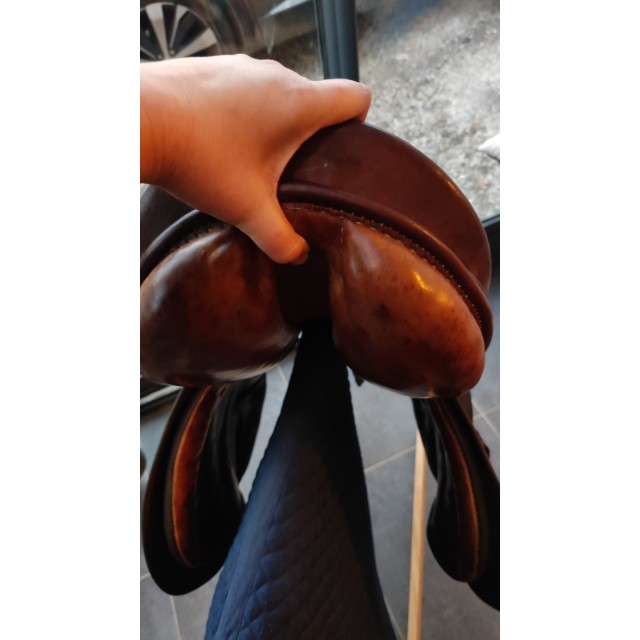 selle stubben