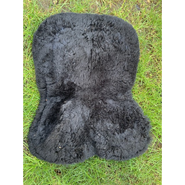 Amortisseur Mouton