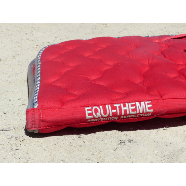 Tapis Equithême Rouge Ancienne Collection