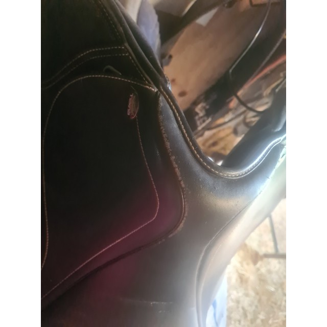 Tekna nue mixte 15"5