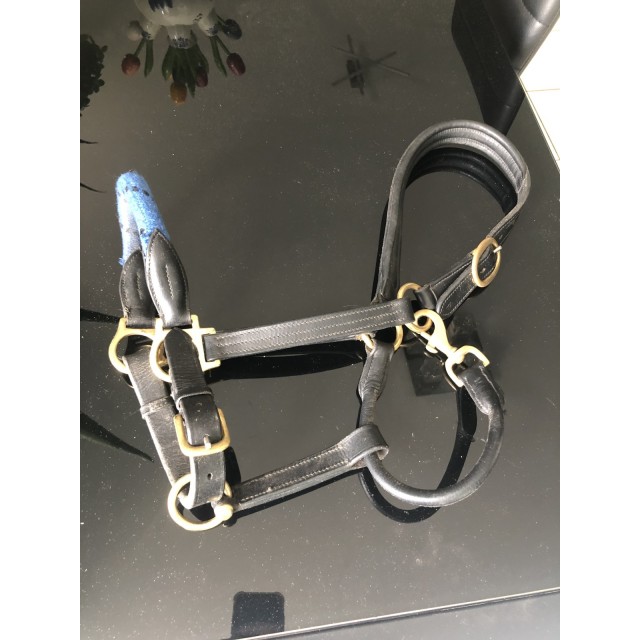 Licol cuir et corde