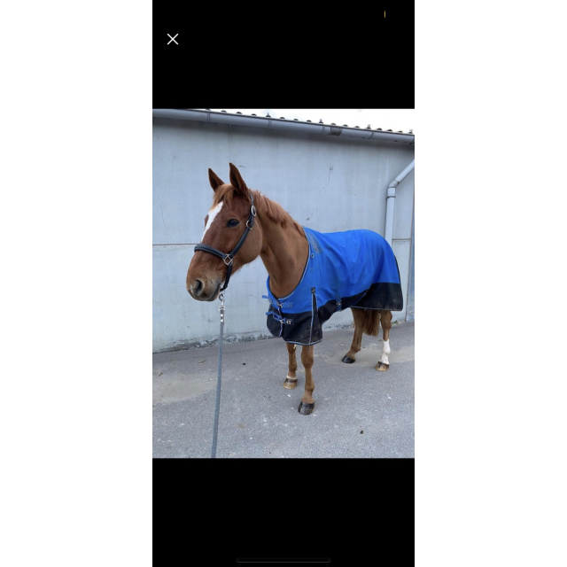 Couverture d’extérieur 300g - 145cm