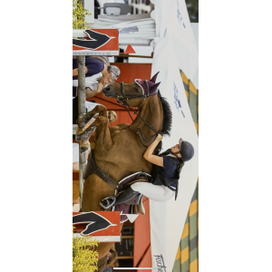 Ensemble Equestrian Stockholm