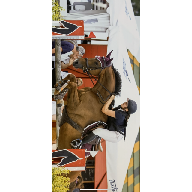 Ensemble Equestrian Stockholm