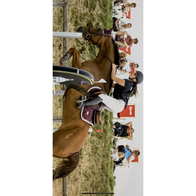 Ensemble Equestrian Stockholm