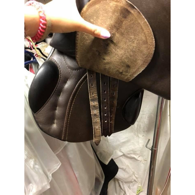 Selle Marcus Ehning - passier 17,5