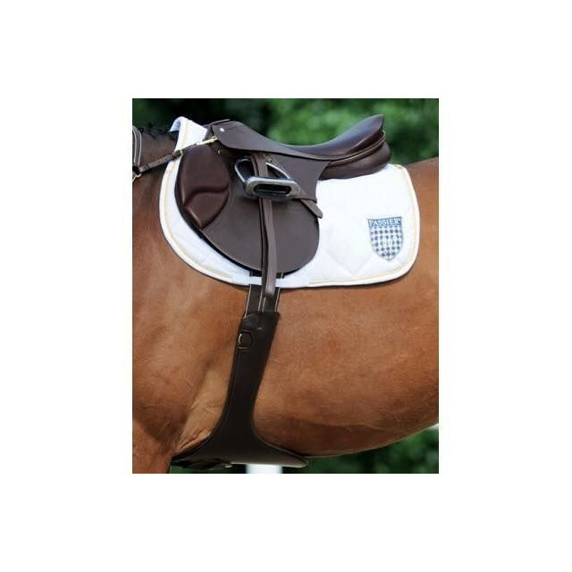 Selle Marcus Ehning - passier 17,5