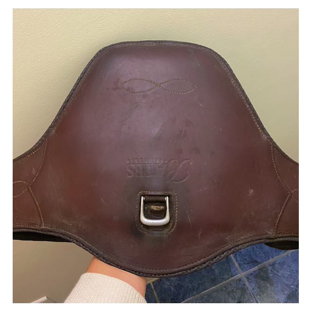 Sangle bavette Cair - Bates.