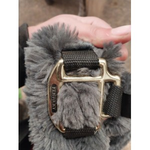 Licole de transport kentucky