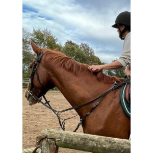 Collier de chasse Riding World