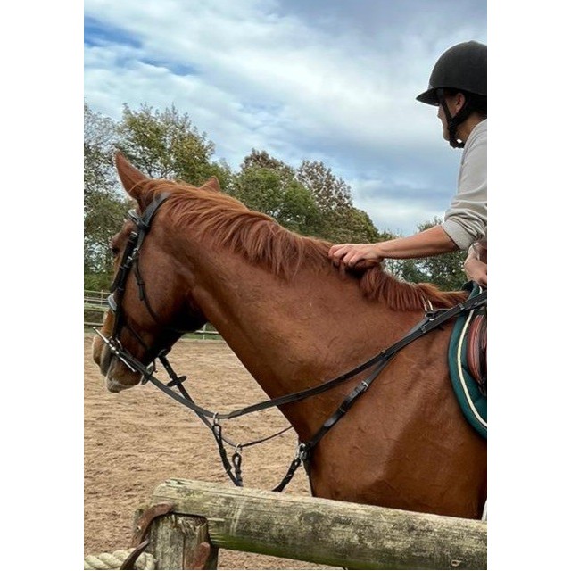 Collier de chasse Riding World