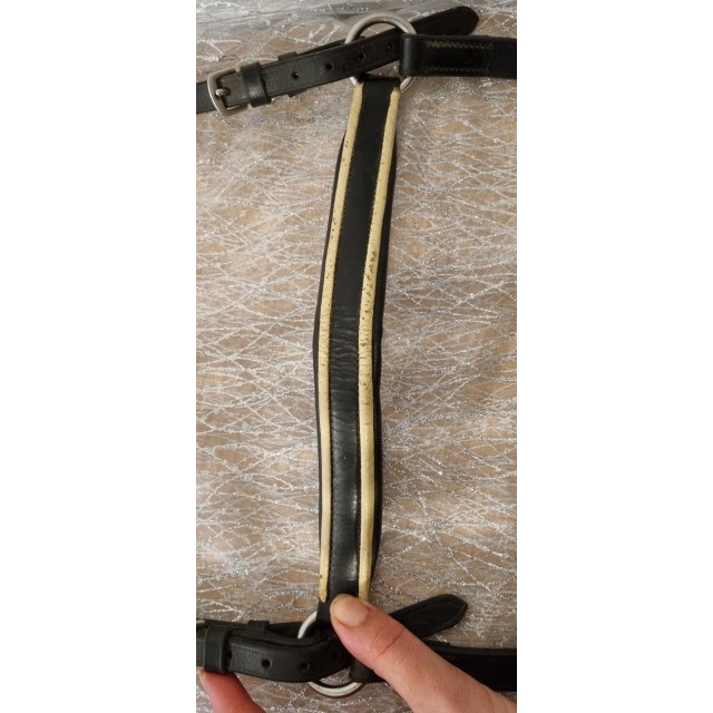 Collier de chasse Riding World