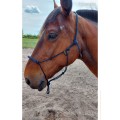 Licol éthologique cheval Equi'p Etho
