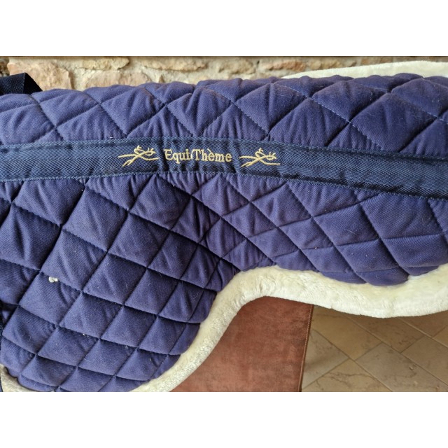 Amortisseur equitheme