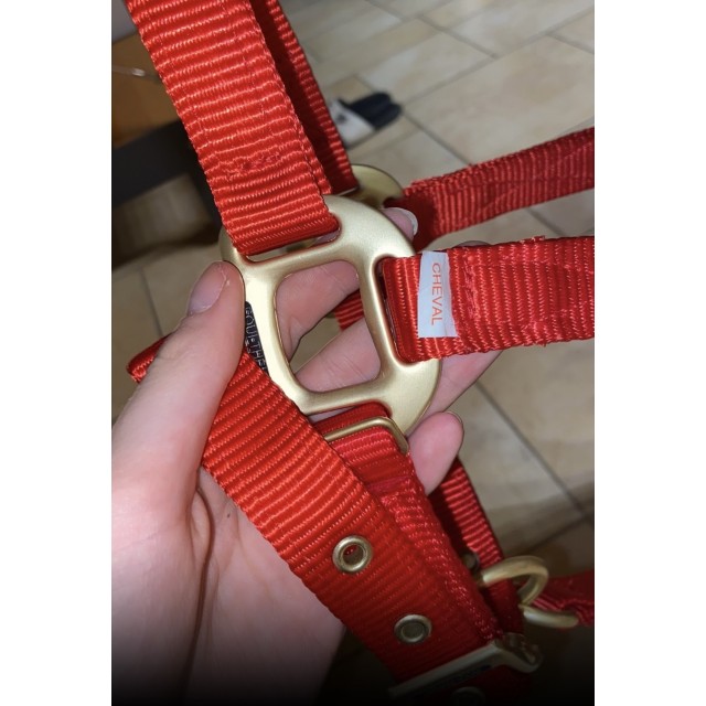 licol equitheme