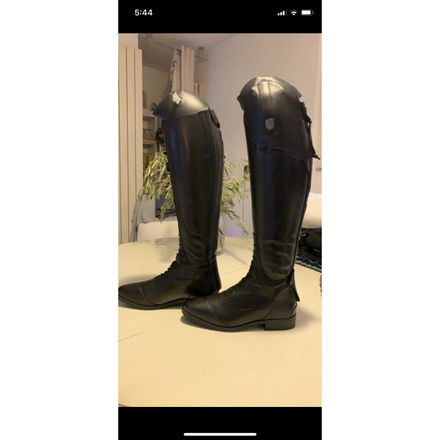 Bottes Mountain Horse