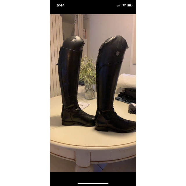 Bottes Mountain Horse