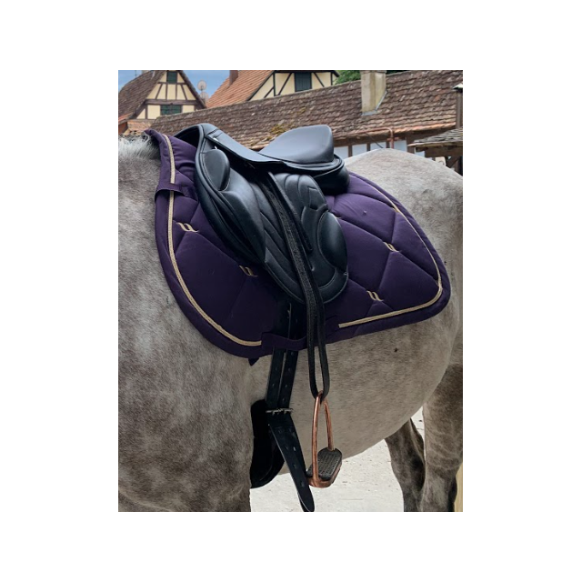 Selle 16,5 premier equine monoquartier