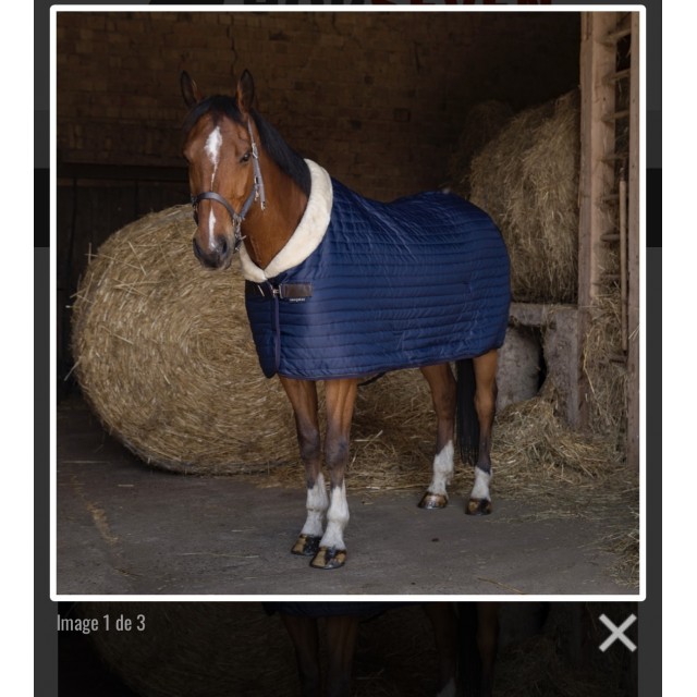 Couverture d’écurie Equitheme Teddy