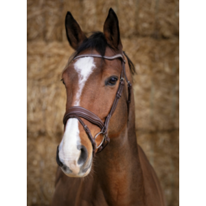 FIlet Norton Pro Miss