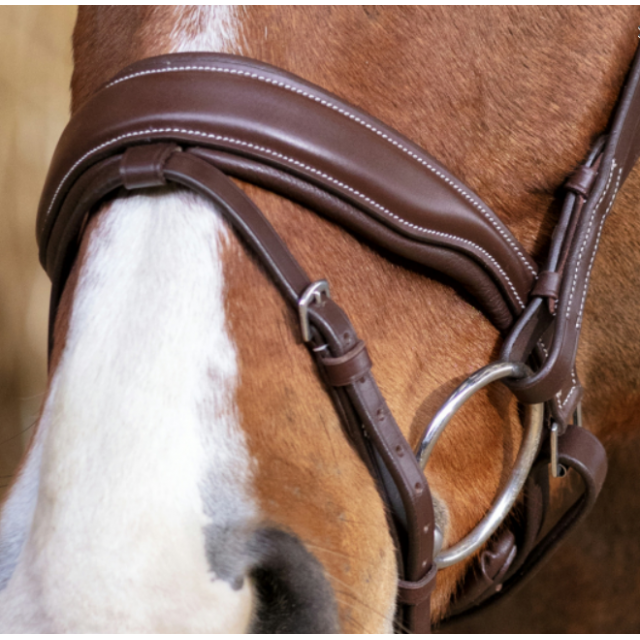 FIlet Norton Pro Miss