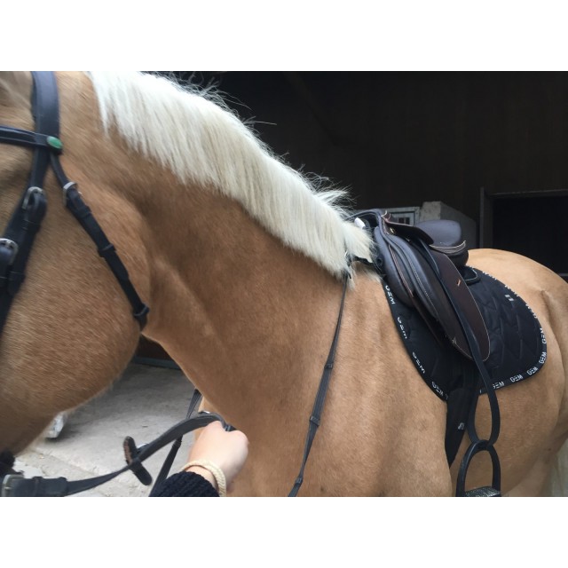 Selle Mondange 17 pouces