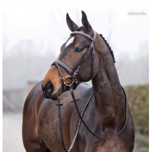Bridon Venice taille cob