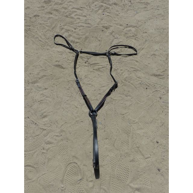 Collier de chasse Noir.