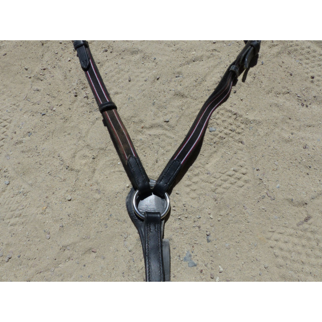 Collier de chasse Noir.