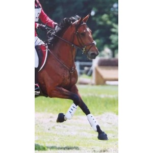 Collier de chasse Devoucoux