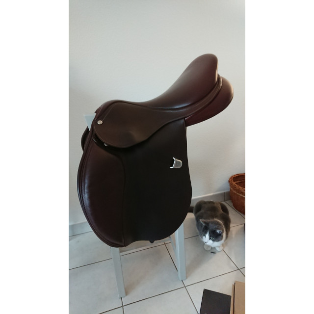 Selle Bates Elevation