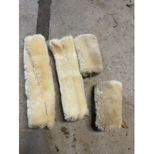 Lot moumoute licol Kentucky