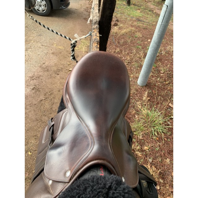 Selle Renaissance
