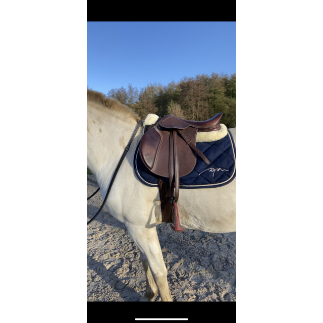 Selle mixte/obstacle