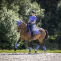 Bandes de polo Le Mieux Bluebell