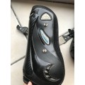 Vererdus carbon