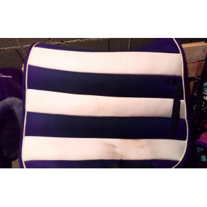 TAPIS DE DRESSAGE