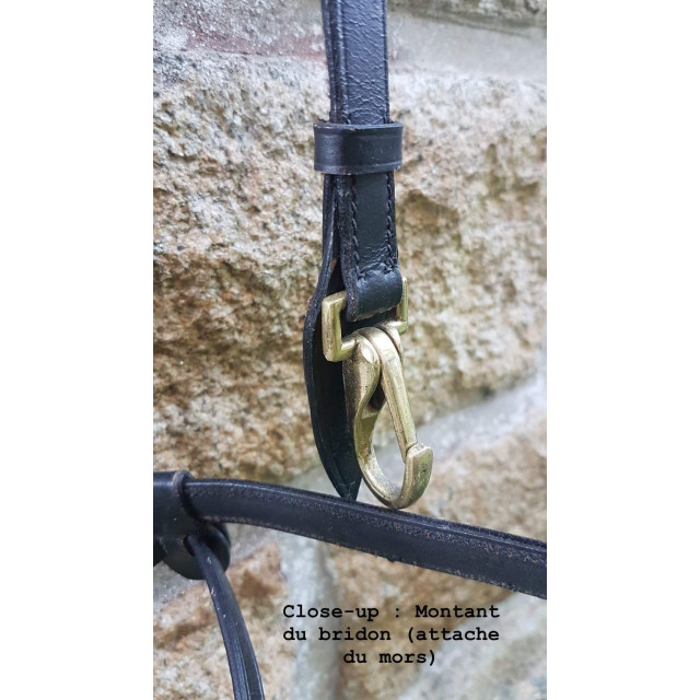 Bridon + rênes noirs