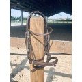 Filet Norton marron - taille COB (vendu sans les rênes)